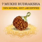 7 Mukhi Rudraksha Silver Capped Pendant